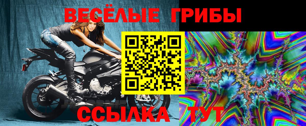 Рузаевка  Галлюциногенные грибы GOLDEN TEACHER  Вход с VPN 